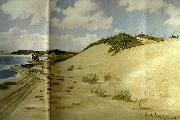 carl locher sommerdag ved hoje klitter ncer stranden ikke langt fra skagen china oil painting reproduction